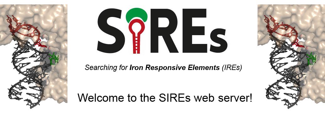 SIREs header