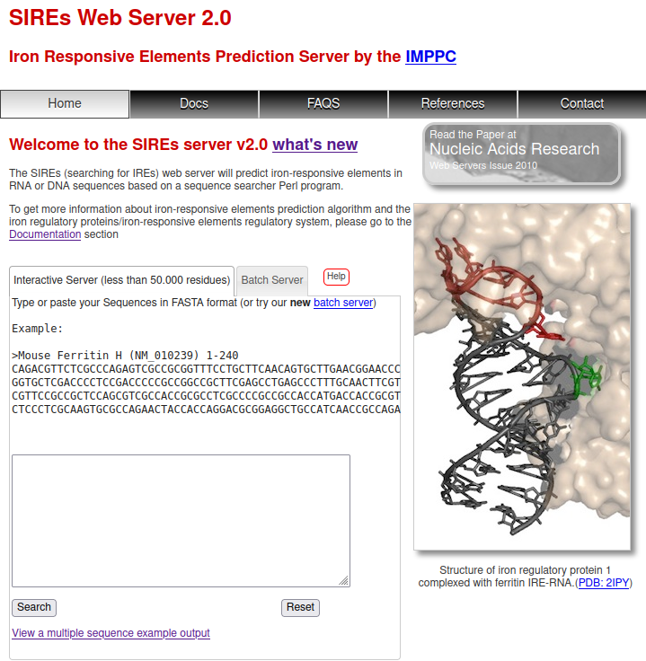 SIREs Version 2.0 Interface